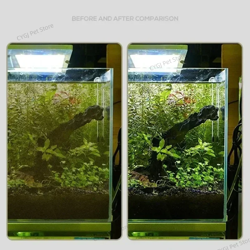 Narzędzie do czyszczenia akwar – Marine Aquarium Glass Cleaner recenzja i cena