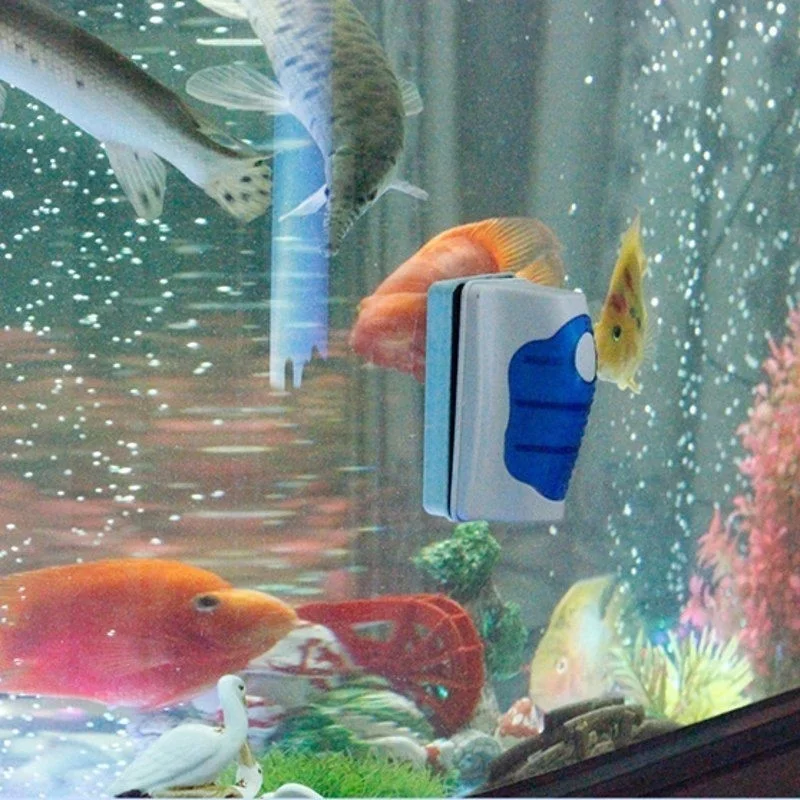 Skrobak do akwarium pływający  – Marine Aquarium Glass Cleaner recenzja i cena