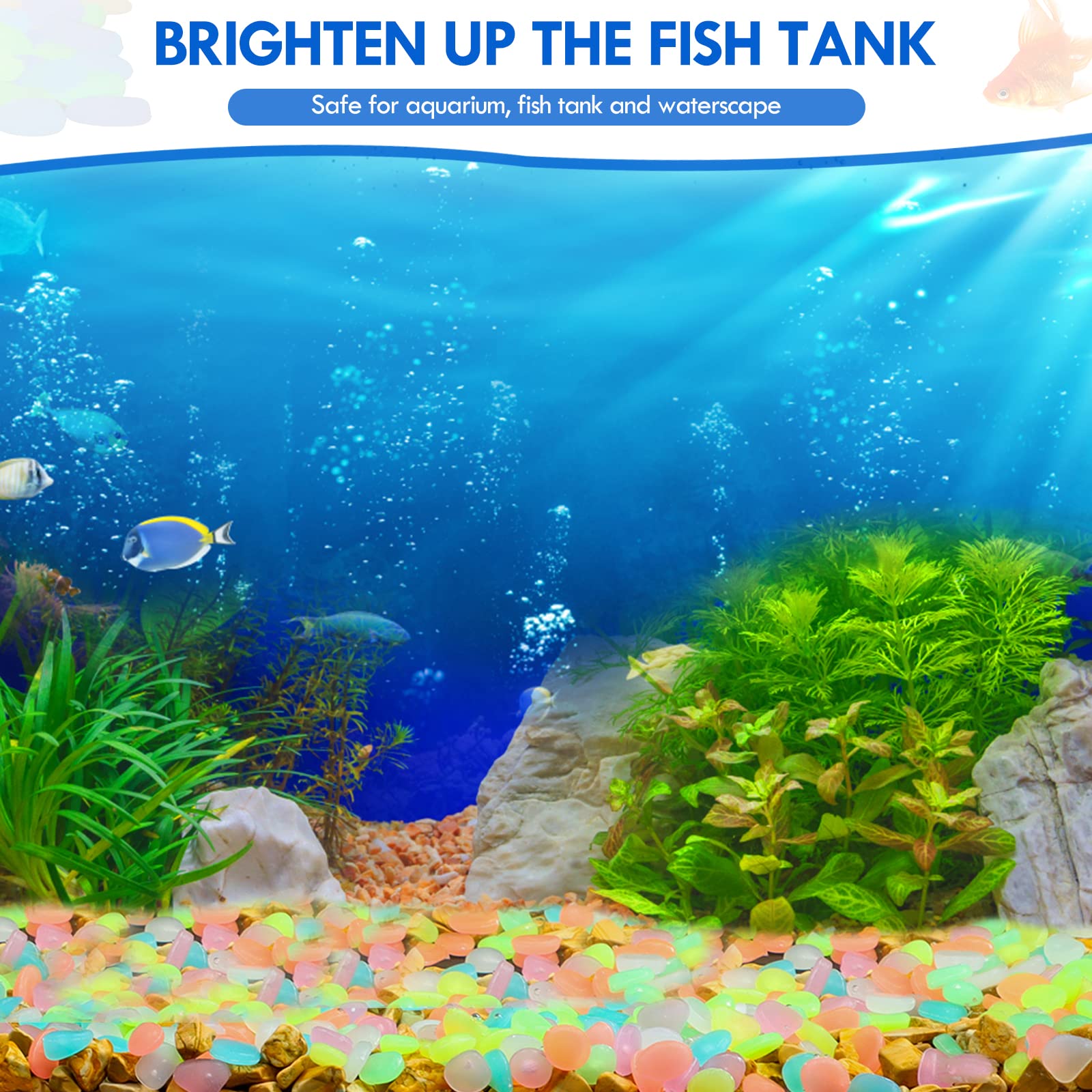 100 sztuk świecących w ciemnoś – Aquarium Marine Fish recenzja i cena